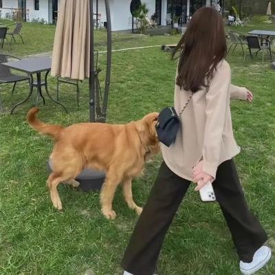 莽汉俏娇娃