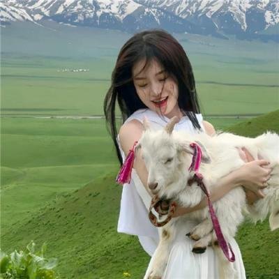 火力少年王 动画版 续集